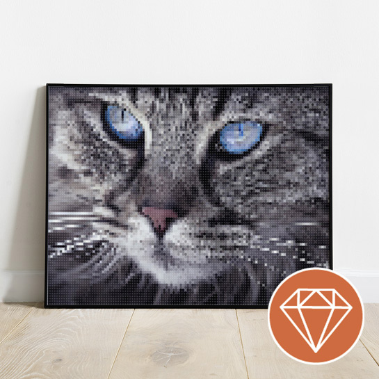 Blaue Katzenaugen - Diamantmalerei - Sonderedition - Webshop