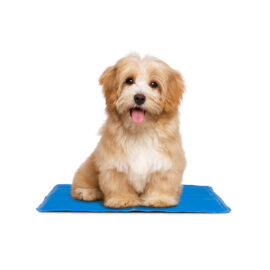 Pet Cooling Mat11