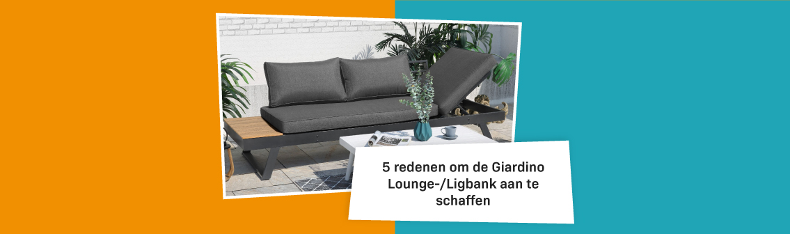 Blog Banners Redenen Om De Lounge Ligbank Aan Te Schaffen